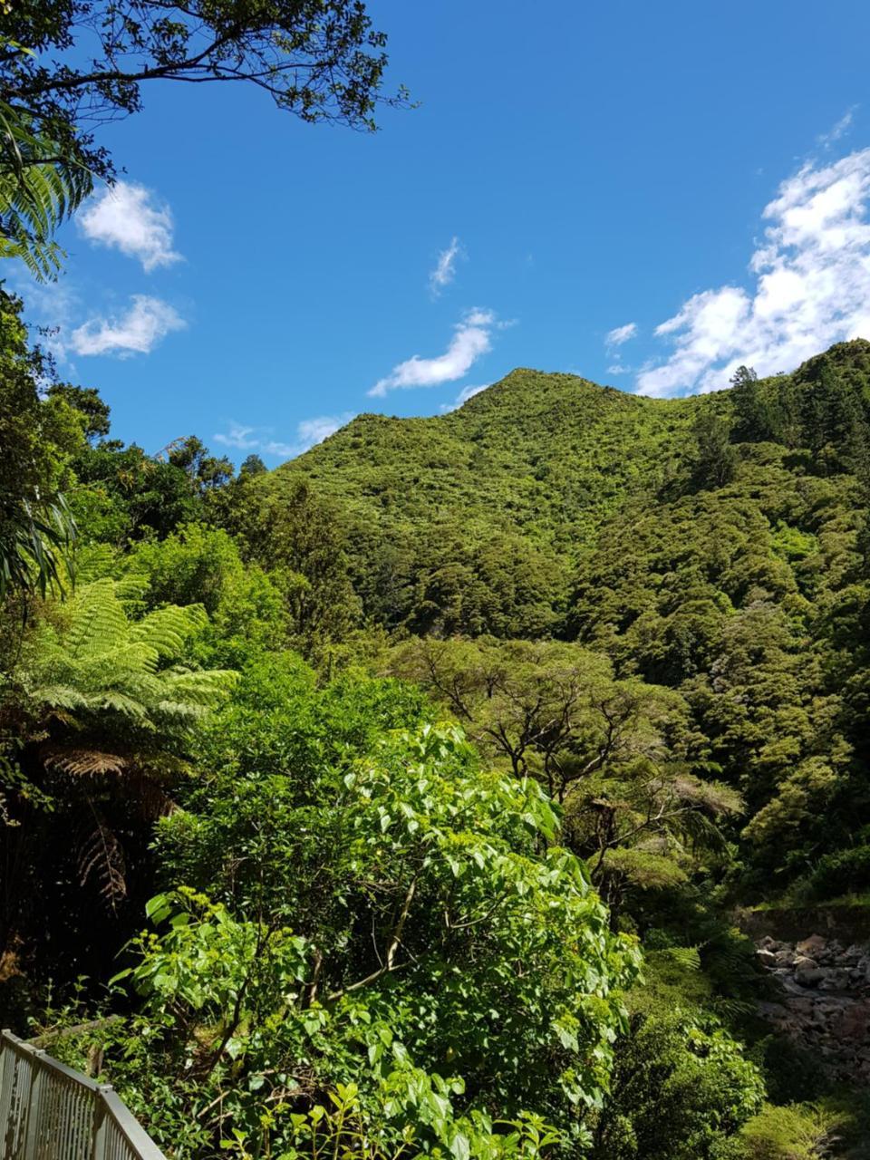 Riverside Accommodation Karangahake Buitenkant foto